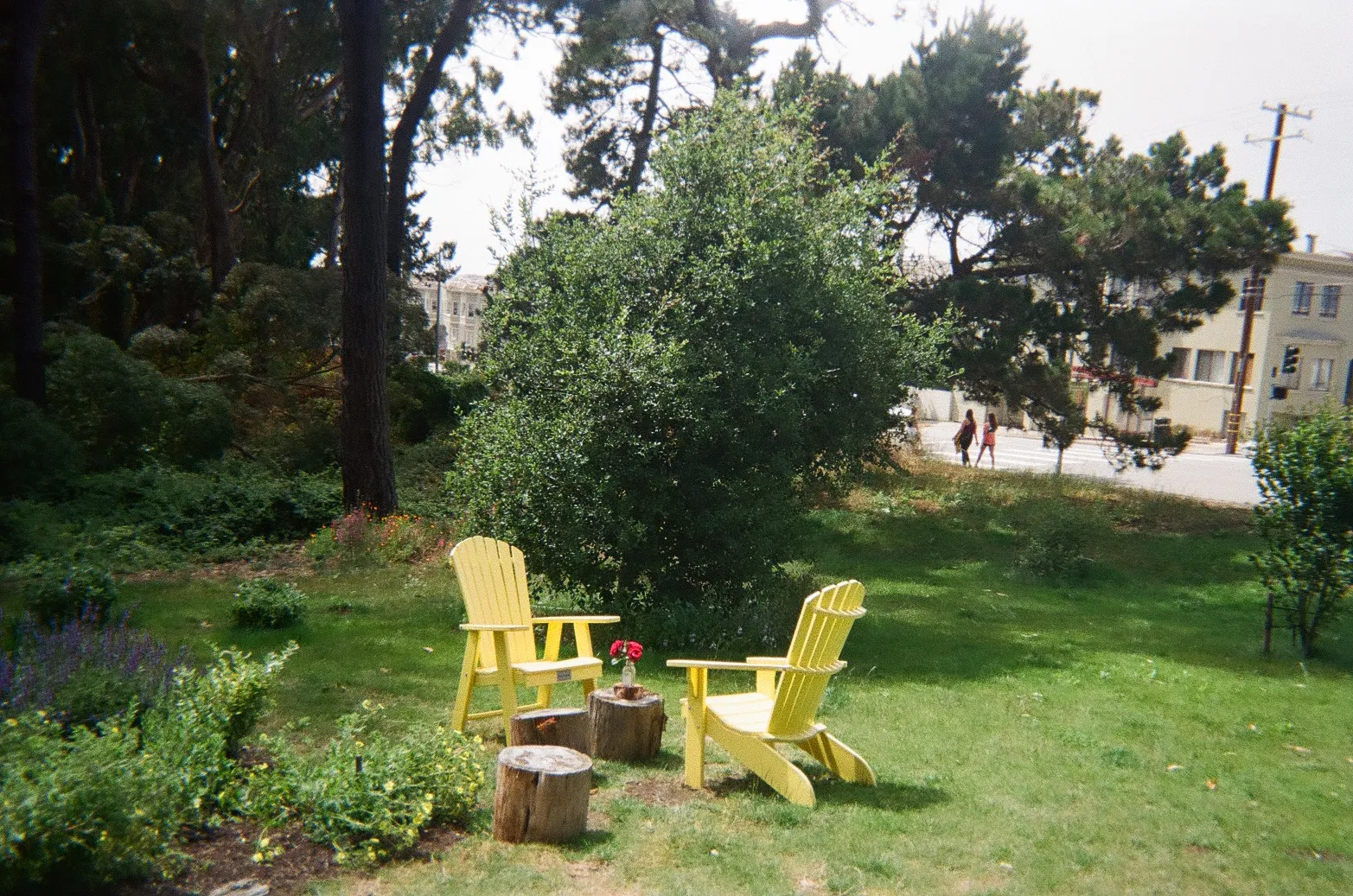 A 35mm color photo of two empty yellow chains facing each other in a park.